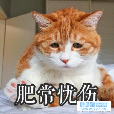 三个月没玩全军出击 没想到竟然脱胎换骨了