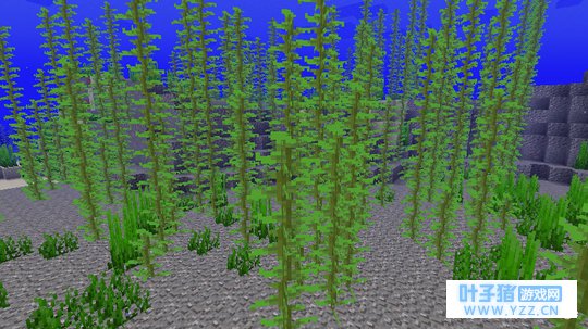 �ҵ����磺�����Ѻ������ˣ�1.13����������