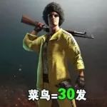 子弹多少判断大神还是菜鸟?请自觉对号入座