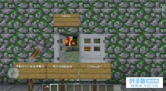 我的世界:这些矿石比钻石还稀有,小白没见