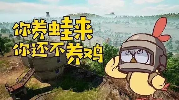 震惊!刺激战场沦为大型养鸡场?