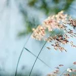 几个低调却很实用的公众号,第一个就没听说