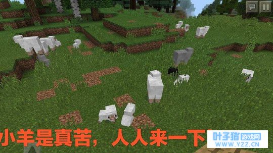 我的世界:游戏中被消灭次数最多的生物排名