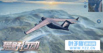 从玩家过亿,到无人问津,看荒野行动是如何