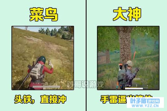 菜鸟总抱怨段位低?做不到这5点,根本别想