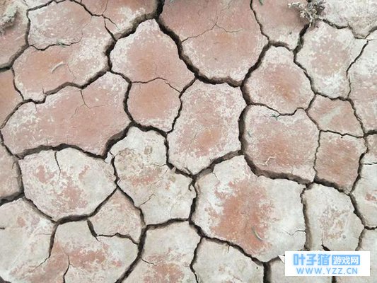 环保丨驻训兵哥哥们的“荒野行动”