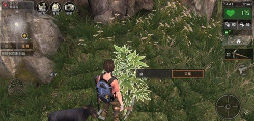 明日之后采麻工怎么赚钱 采麻工赚钱方法推