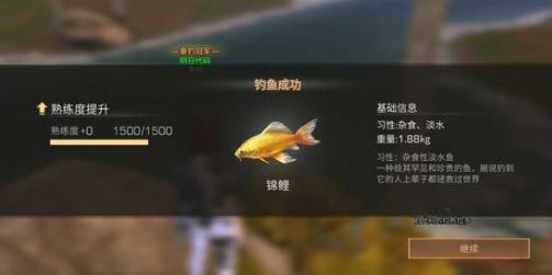 明日之后锦鲤怎么钓 锦鲤钓鱼位置介绍