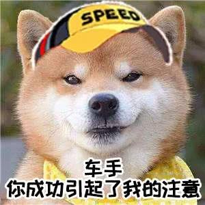 周年庆爆料|悬念揭晓!一周年庆典重磅福利