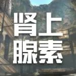 ���ջ��⣺��������Ӧ��ʲôʱ�����ʣ�