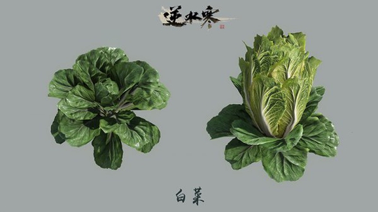 ����ˮ��������ܼ���ӭ�������ԸĶ�