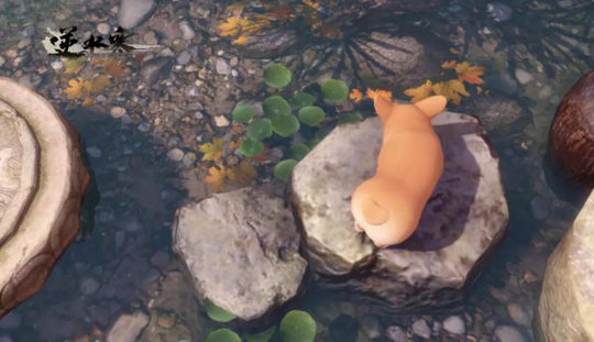 ���컯�չ�Ȼ���� Ϊʲô�������ѷ����Ʋ�?