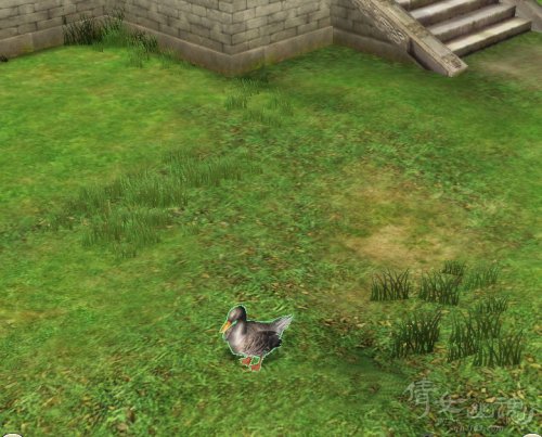 幽梦家园动物类装饰展