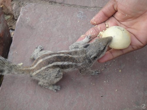 �챤�ﲻ���˵�����