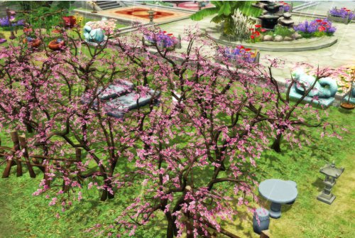 幽梦家园美景秀