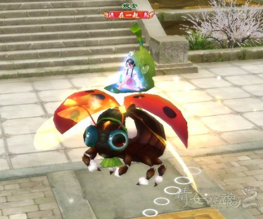 倩女新坐骑九星瓢虫