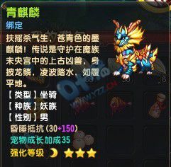 QQ69ְҵװ