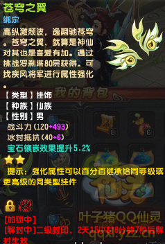 QQ39Сǻ´ɲ80