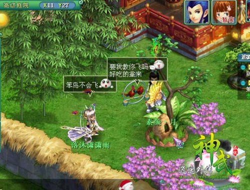 鹦鹉,她真的不是你的宠物