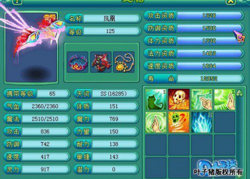 ���䱦��չʾ