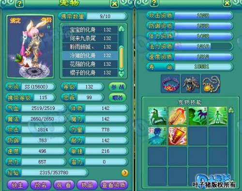 服战玩家宠物展示