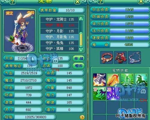 神武冠军团队装备宠物展示