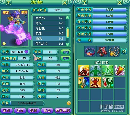 服战冠军宝宝展示