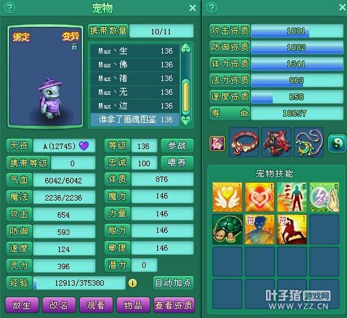 飞升131盘丝展示