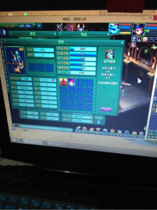 月光洗宠加打书