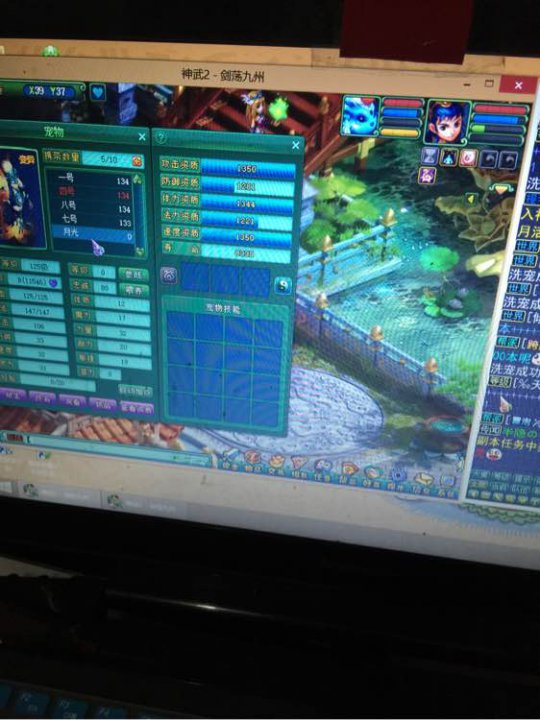 月光洗宠加打书