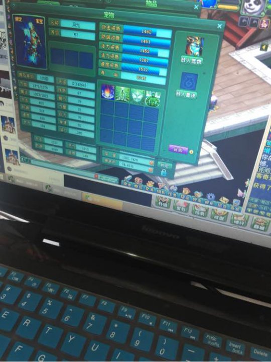 月光洗宠加打书