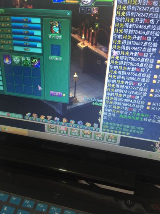 月光洗宠加打书