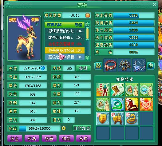 倾国99级魔王展示