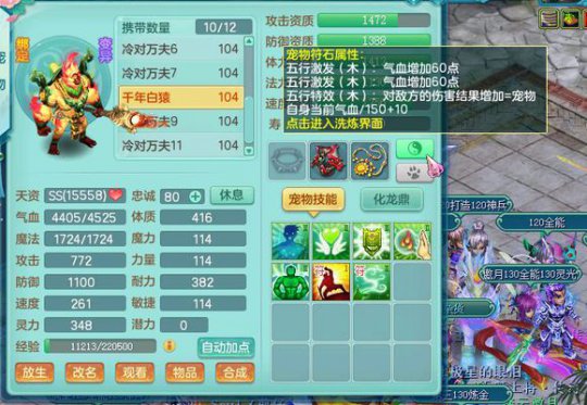 99级全五技能宝宝