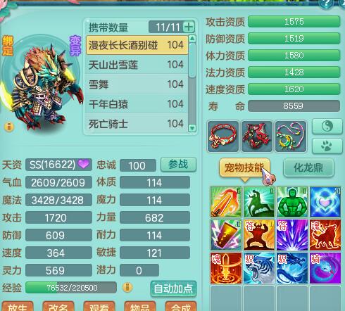 99级全五技能宝宝