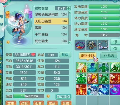 99级全五技能宝宝