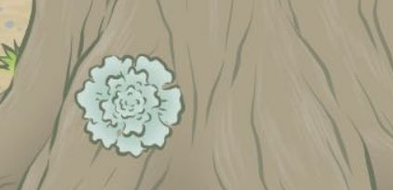 《旅行青蛙》怎么养第二只青蛙?