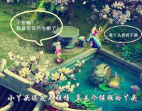 【烟火漫画】 金帽子 --- 布帽子