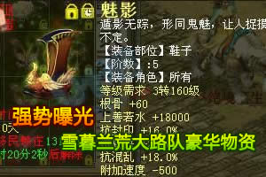 强势曝光:雪暮兰荒大路队的顶级豪华物资 强势曝光:雪暮兰荒大路队的顶级豪华物资