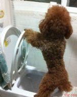 金不换速来与我们切磋“施法动作”