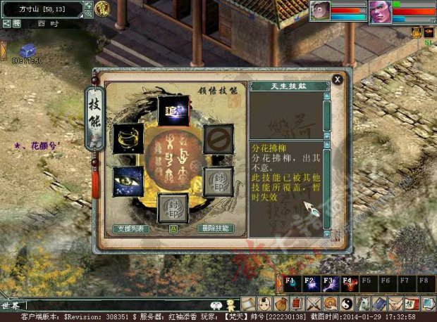 各种覆盖技能宠13