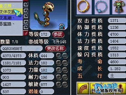 展示