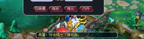 梦幻西游2个性宠