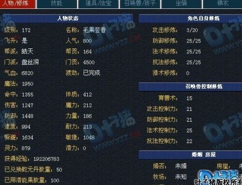 偶像回顾