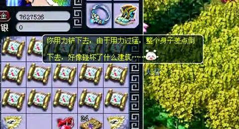 直播五宝