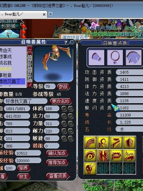 高端大气的萌宠