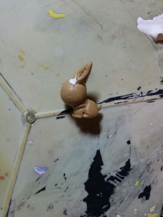 我家来了只可爱月兔