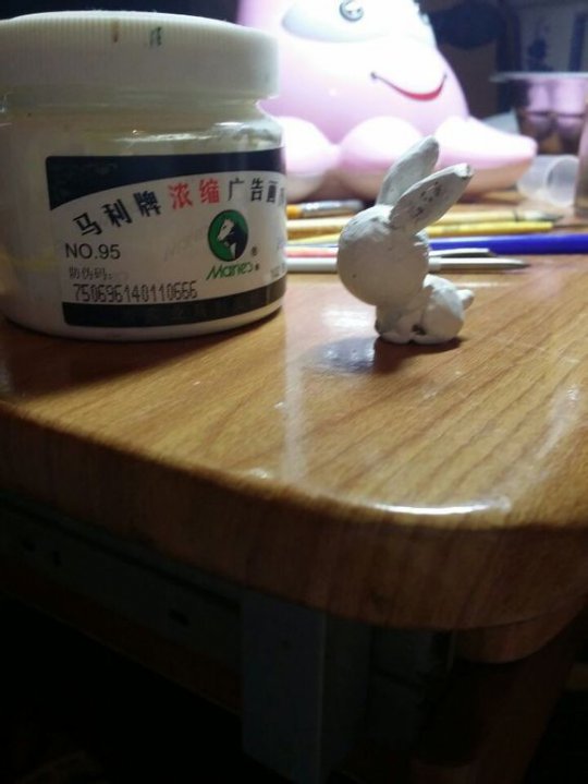 我家来了只可爱月兔