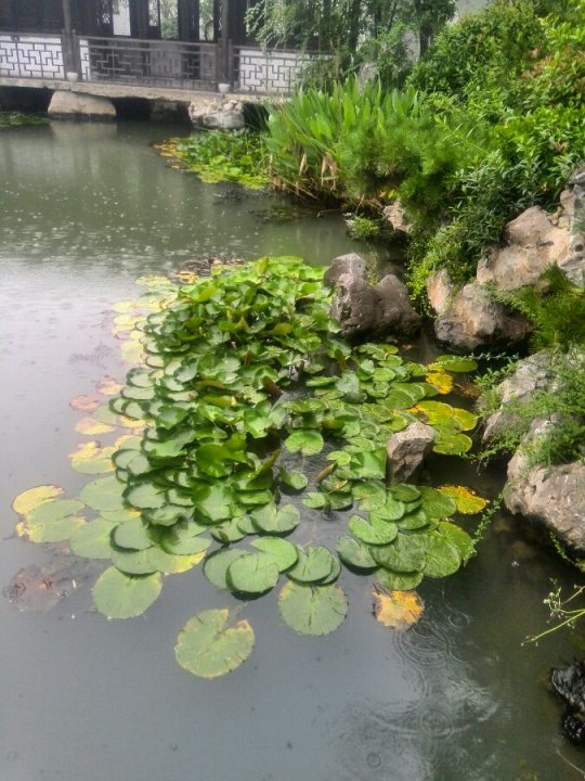 梦幻西游主题酒吧
