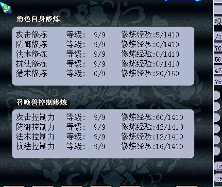 530069WZ